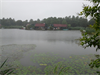 Regen
